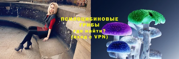ECSTASY Балахна